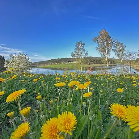 Seeblick - Tiny Direkt Am